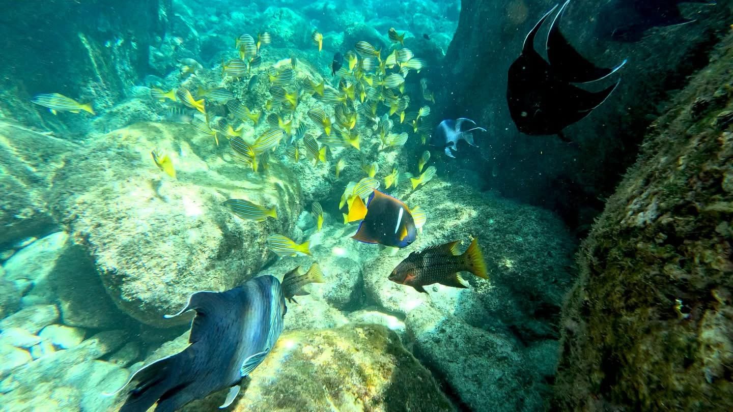 Snorkel Tours